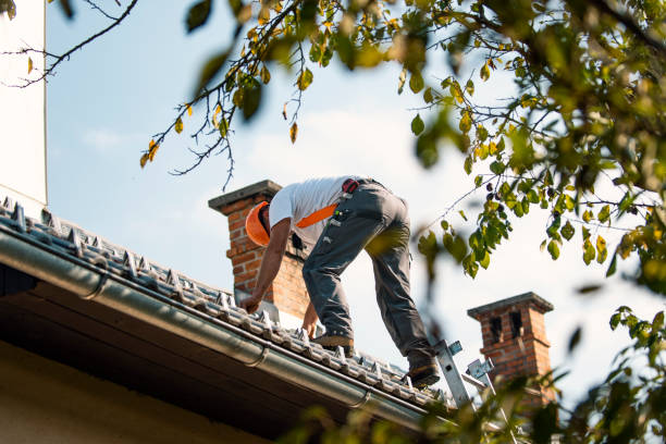 Best Metal Roofing Contractor  in Metzger, OR