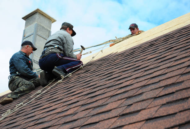 Best Storm Damage Roof Repair  in Metzger, OR